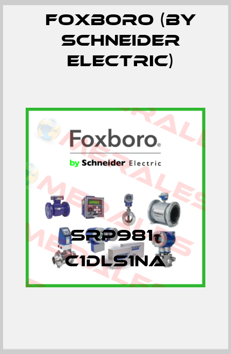 SRP981- C1DLS1NA Foxboro (by Schneider Electric)