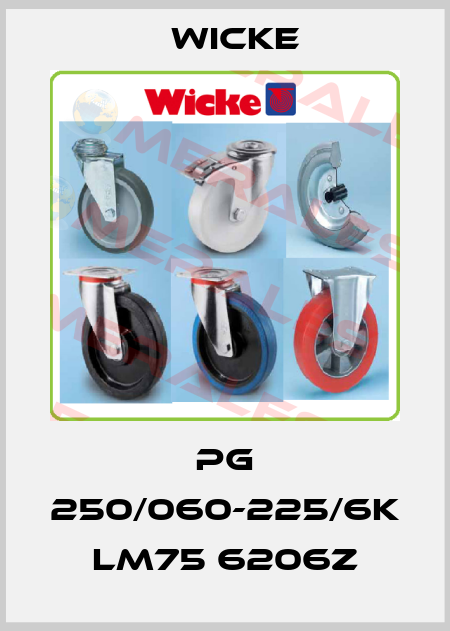 PG 250/060-225/6K LM75 6206Z Wicke