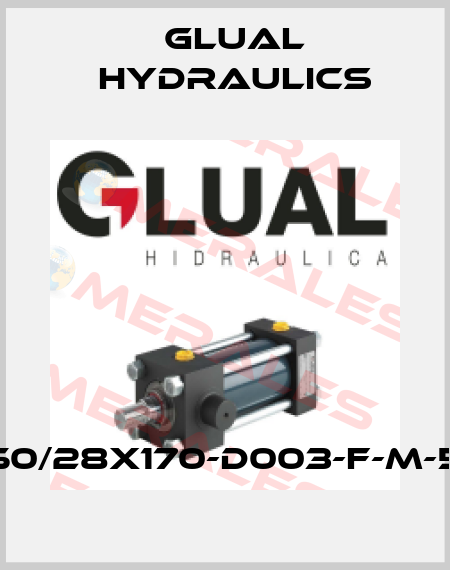 KZ-50/28x170-D003-F-M-50-B Glual Hydraulics
