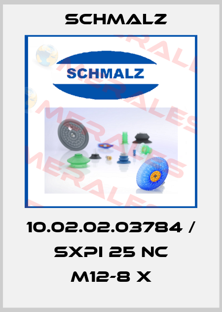 10.02.02.03784 / SXPi 25 NC M12-8 X Schmalz