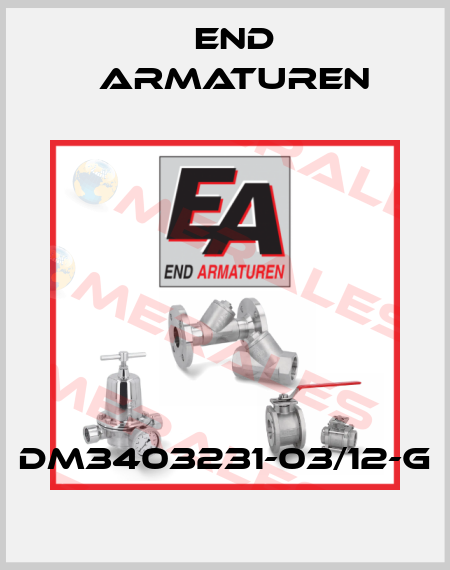DM3403231-03/12-G End Armaturen