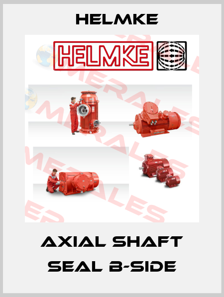 Axial shaft seal B-side Helmke