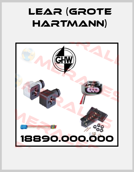  18890.000.000 Lear (Grote Hartmann)