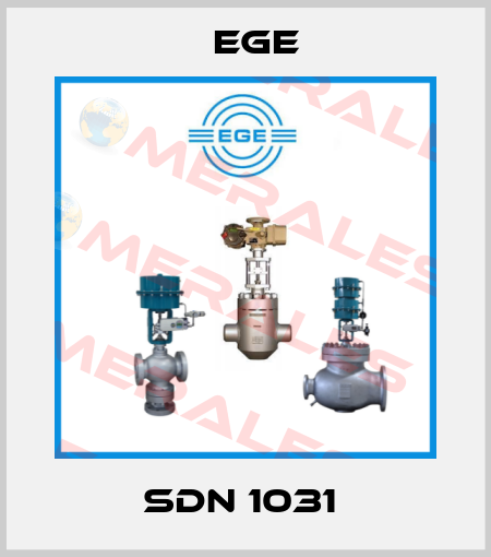 SDN 1031  Ege