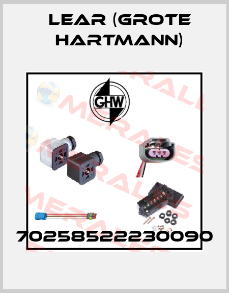 70258522230090 Lear (Grote Hartmann)