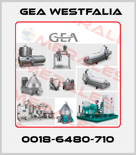 0018-6480-710 Gea Westfalia