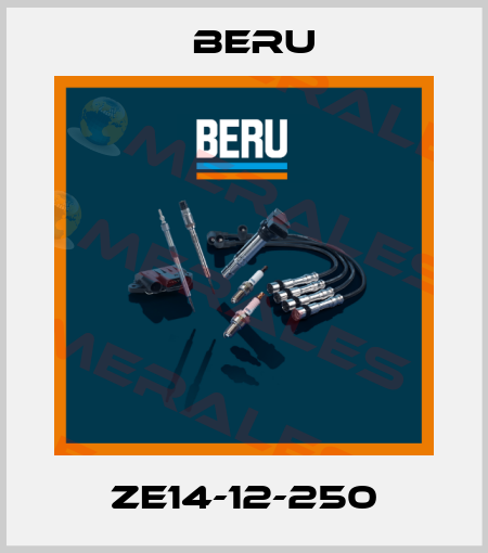 ZE14-12-250 Beru