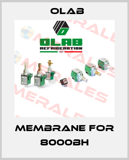 Membrane for 8000BH Olab