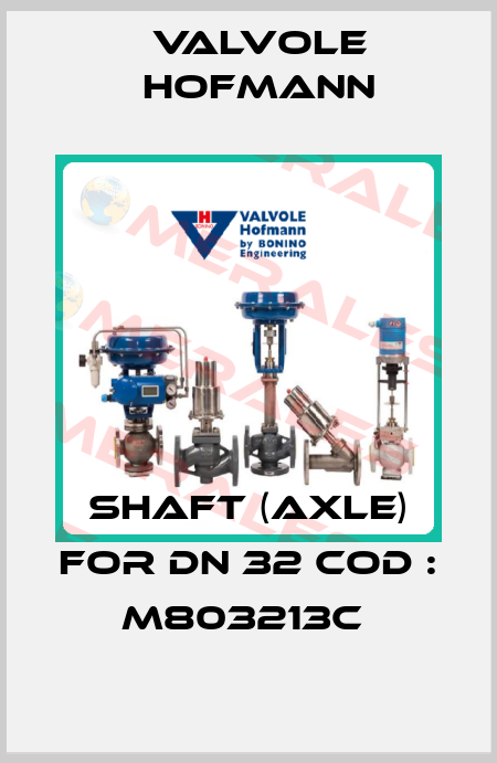 SHAFT (AXLE) FOR DN 32 COD : M803213C  Valvole Hofmann