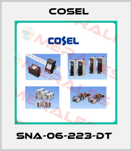 SNA-06-223-DT  Cosel