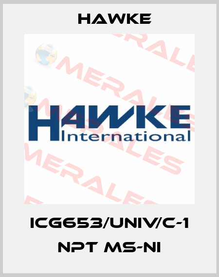 ICG653/UNIV/C-1 NPT Ms-Ni Hawke
