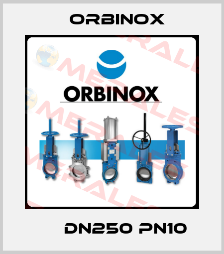 ЕВ DN250 PN10 Orbinox