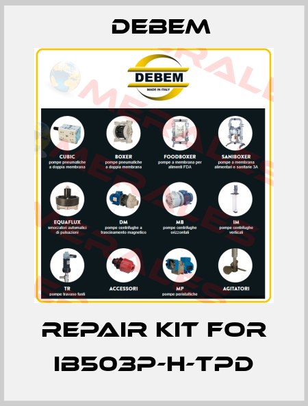 repair kit for IB503P-H-TPD Debem