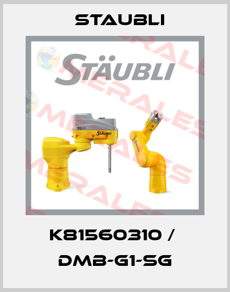 K81560310 /  DMB-G1-SG Staubli