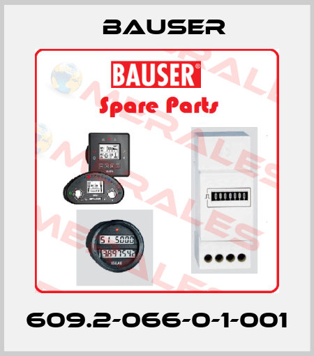 609.2-066-0-1-001 Bauser
