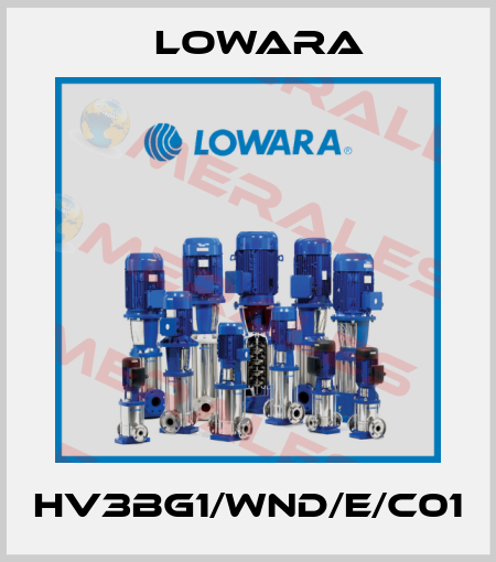 HV3BG1/WND/E/C01 Lowara