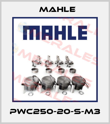 PWC250-20-S-M3 MAHLE