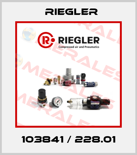 103841 / 228.01 Riegler