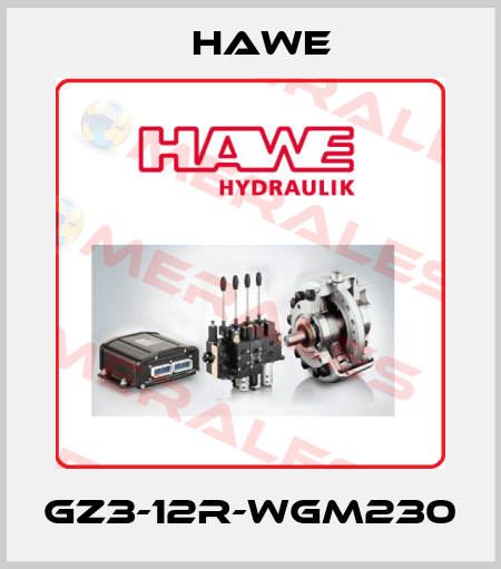 GZ3-12R-WGM230 Hawe