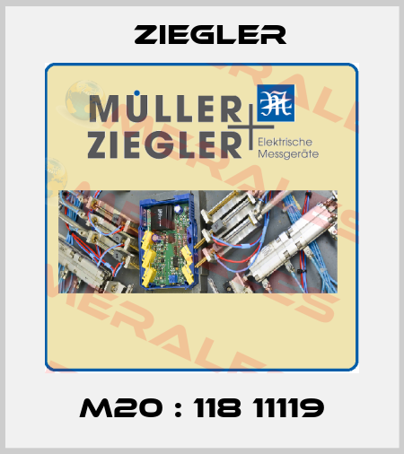 M20 : 118 11119 Ziegler