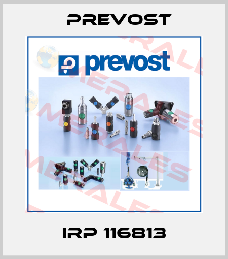 IRP 116813 Prevost
