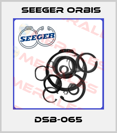 DSB-065 Seeger Orbis