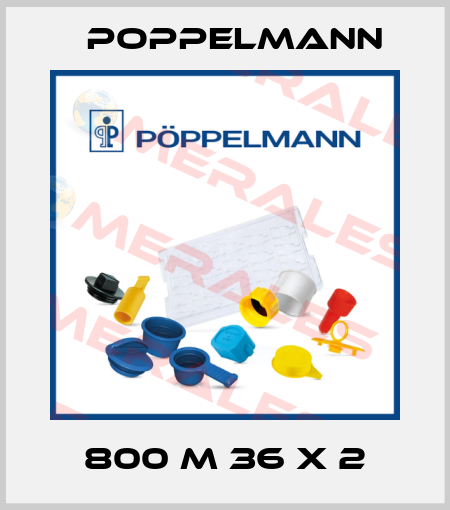 800 M 36 x 2 Poppelmann