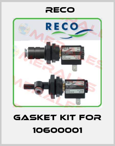 Gasket kit for 10600001 Reco