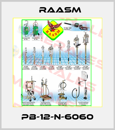 PB-12-N-6060 Raasm