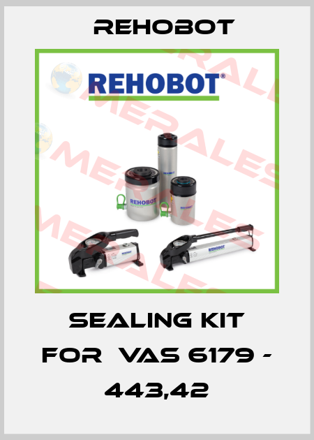 sealing kit for  VAS 6179 - 443,42 Rehobot