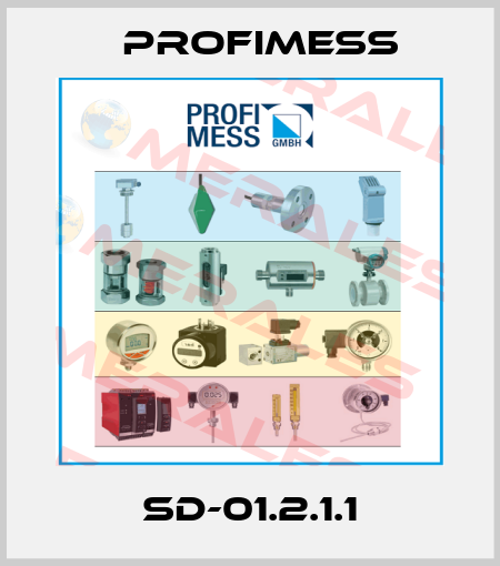 SD-01.2.1.1 Profimess