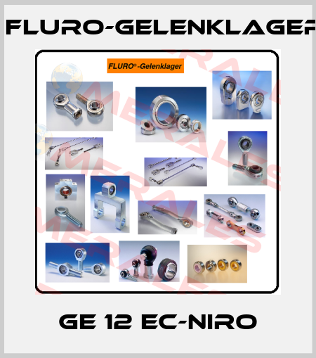 GE 12 EC-NIRO FLURO-Gelenklager