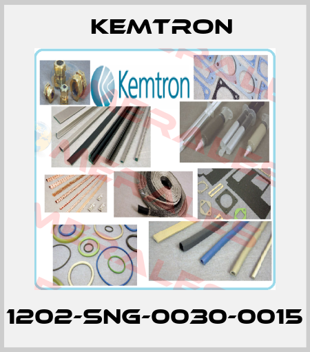 1202-SNG-0030-0015 KEMTRON