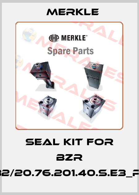 seal kit for BZR 250.32/20.76.201.40.S.E3_P2.R.V Merkle