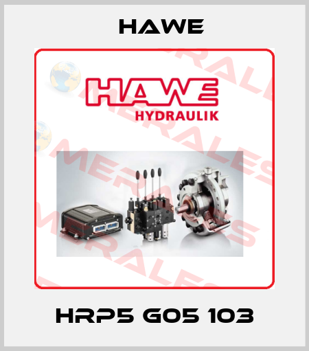 HRP5 G05 103 Hawe
