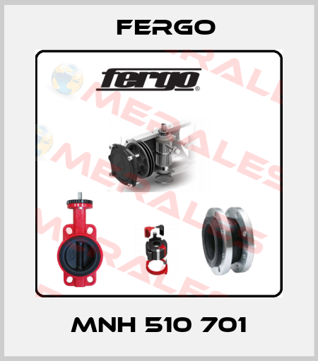 MNH 510 701 Fergo