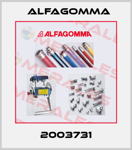 2003731 Alfagomma