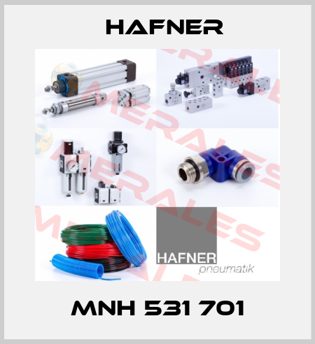 MNH 531 701 Hafner
