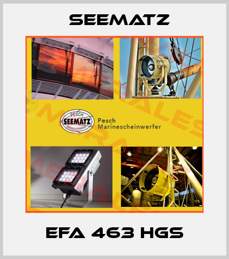 EFA 463 HGS Seematz