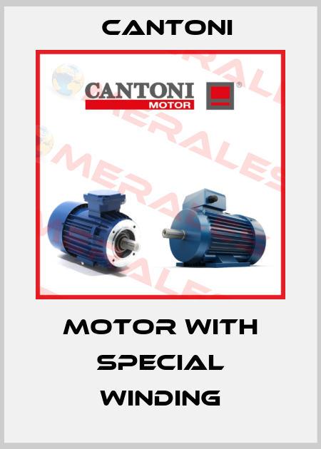 Motor with special winding Cantoni