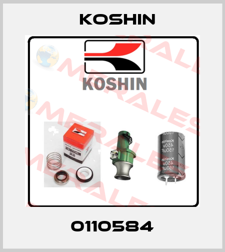 0110584 Koshin