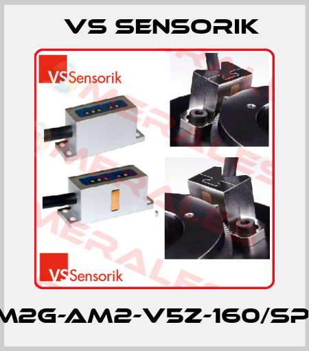RGM2G-AM2-V5Z-160/SP100 VS Sensorik