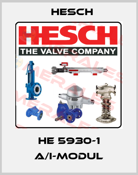 HE 5930-1 A/I-Modul Hesch