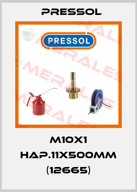 M10X1 HAP.11X500MM (12665) Pressol