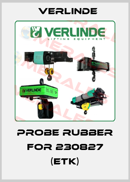 Probe rubber for 230827 (ETK) Verlinde