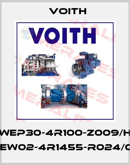 WEP30-4R100-Z009/H Wew02-4R1455-R024/0H Voith