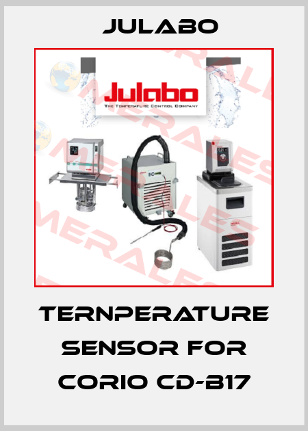 TernPerature sensor for CORIO CD-B17 Julabo