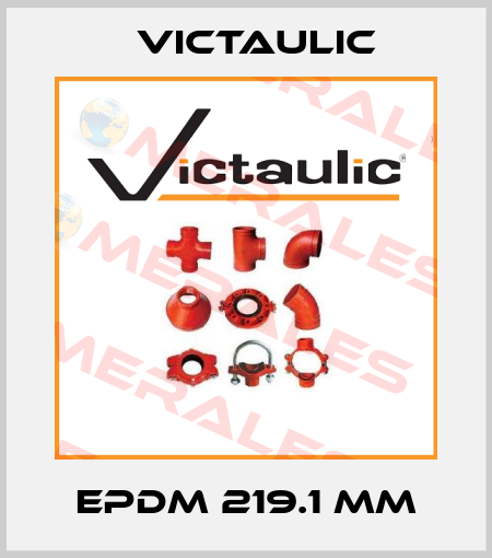 EPDM 219.1 mm Victaulic