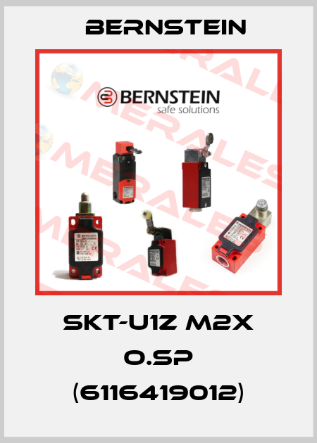 SKT-U1Z M2X O.SP (6116419012) Bernstein