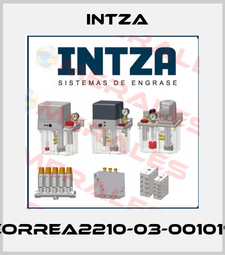 CORREA2210-03-001019 Intza